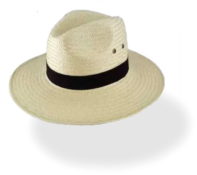 Avenel PaperBraid Wide Brim